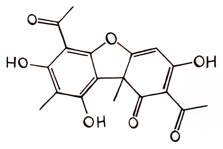 Alpha-glycerylphosphorylcholine (Alpha-GPC) - Chemix Lifestyle